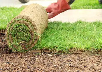 new lawn installation