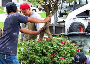 plant installation