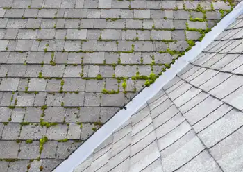 roof cleaning