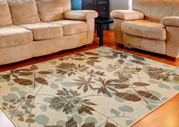 rug cleaning