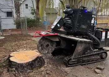 stump removal