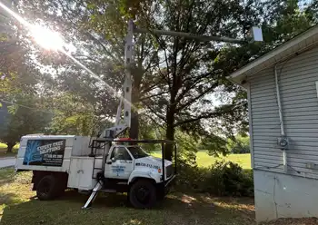 tree trimming
