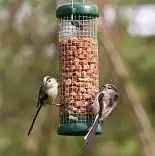 wild bird seed